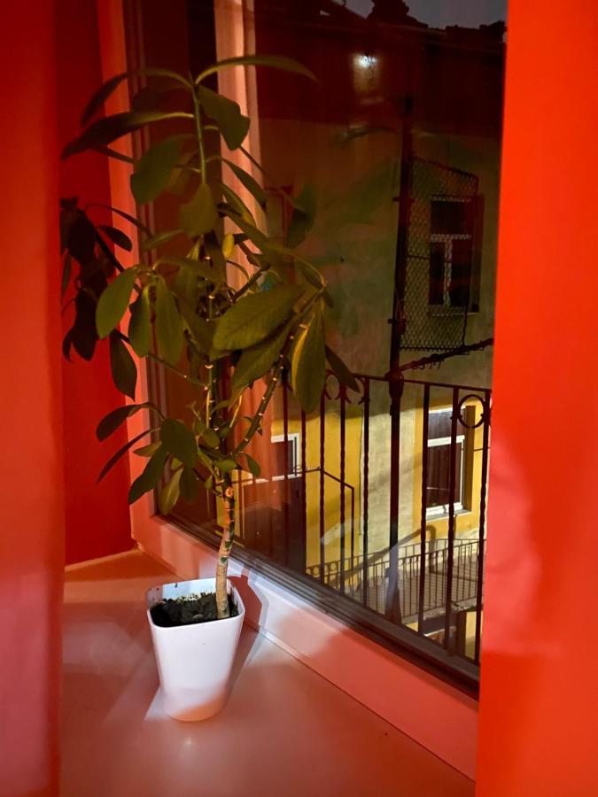 31 Котлярська Appartement Lviv Buitenkant foto